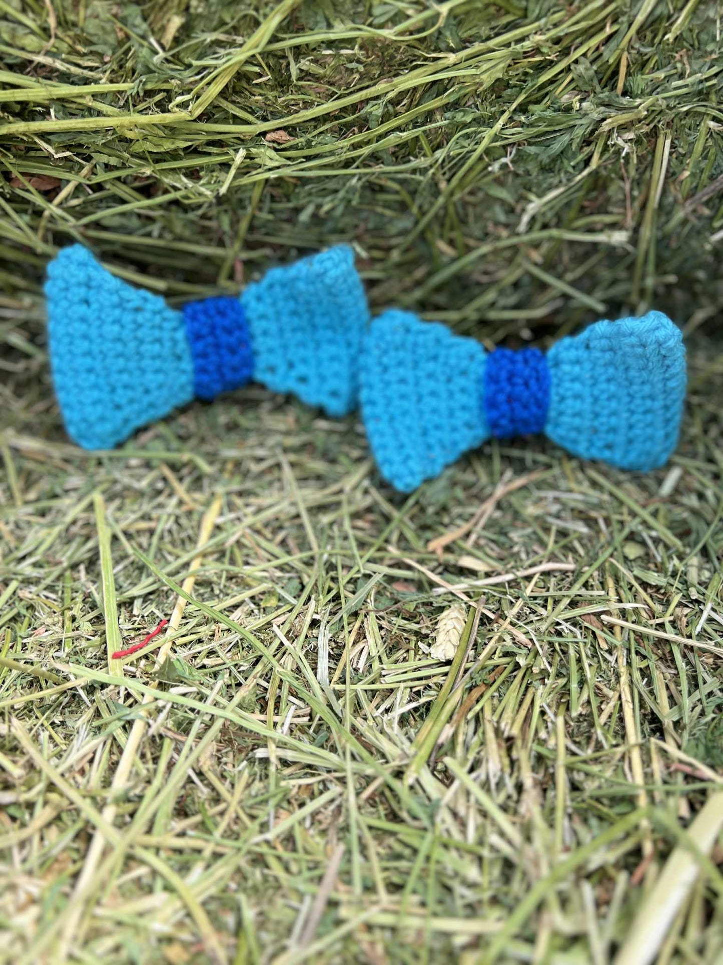 Bitty Bows