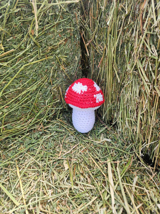 Crochet Mushroom Plushie – Amanita Style