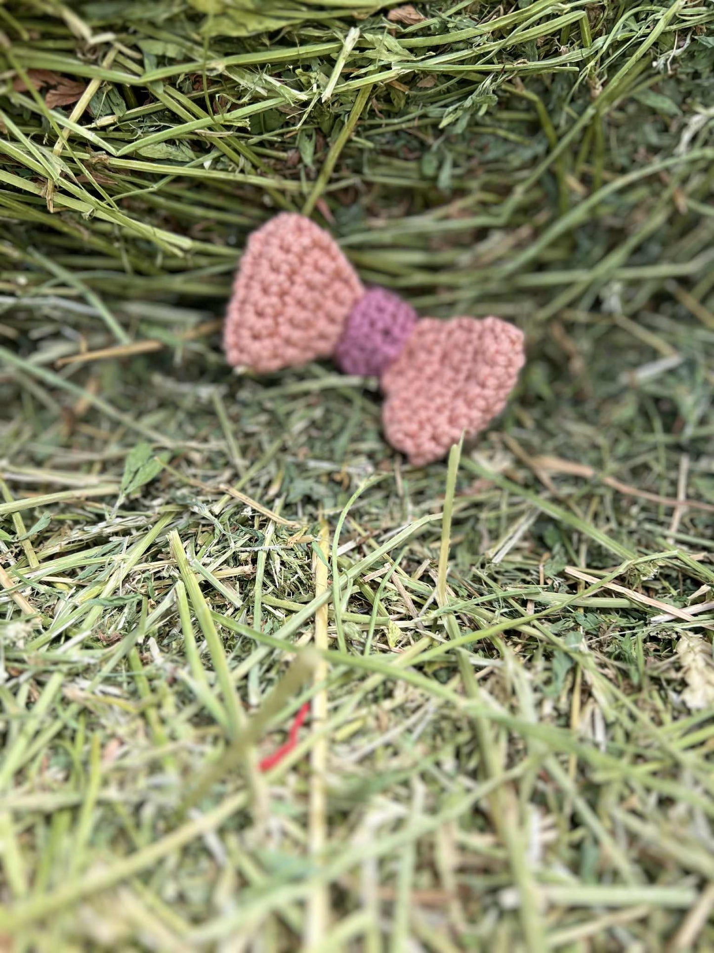 Bitty Bows
