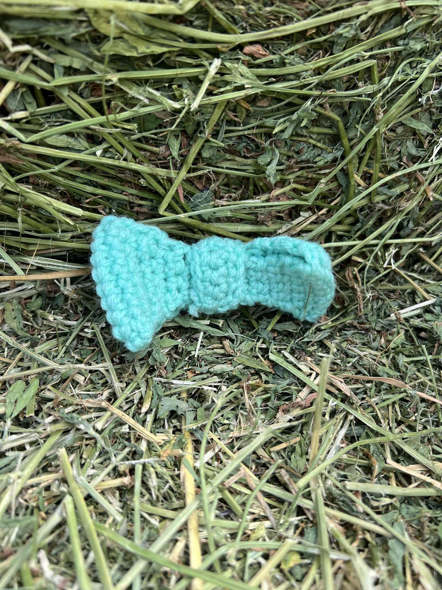 Bitty Bows