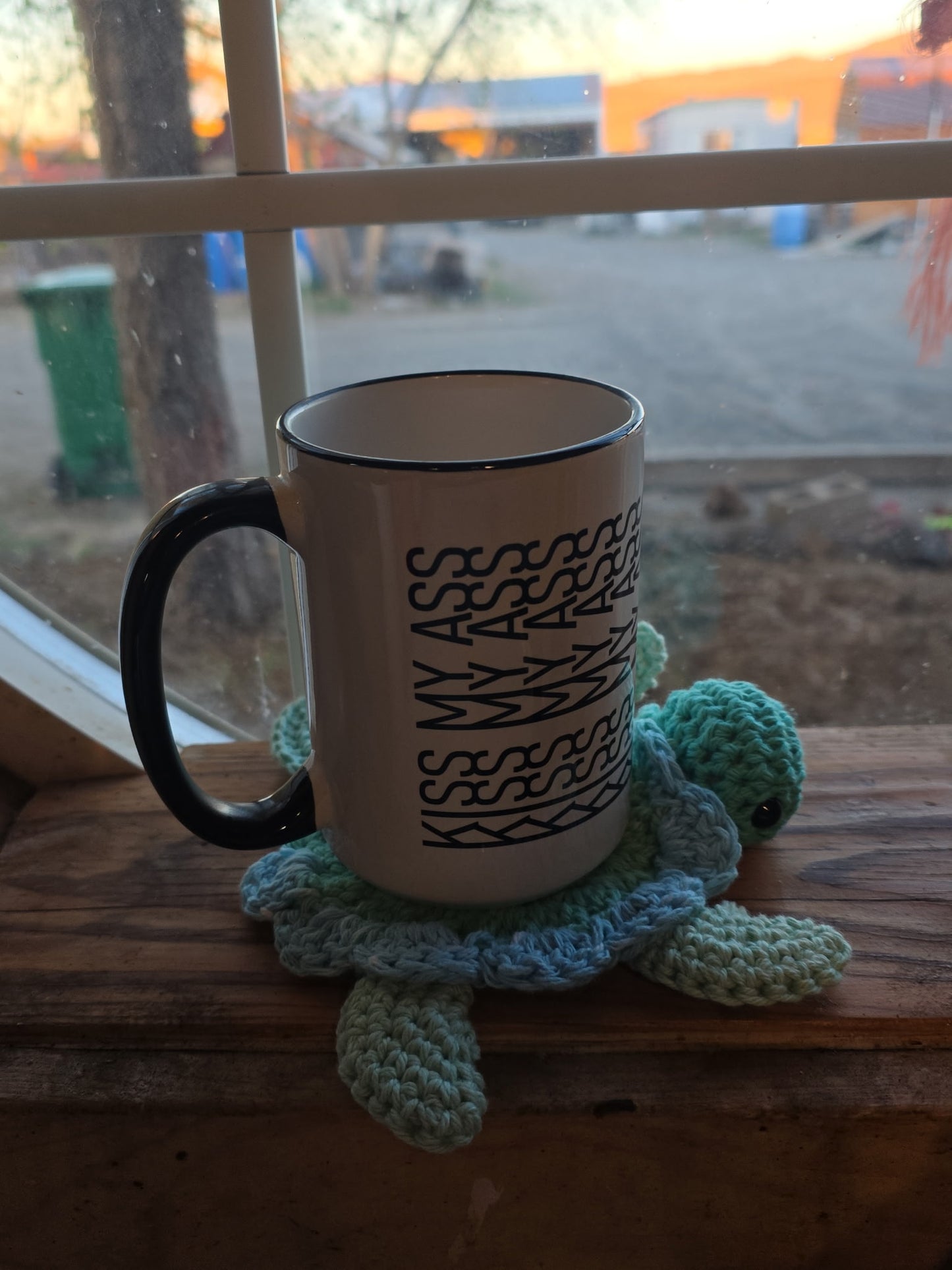 Turtle Coasters