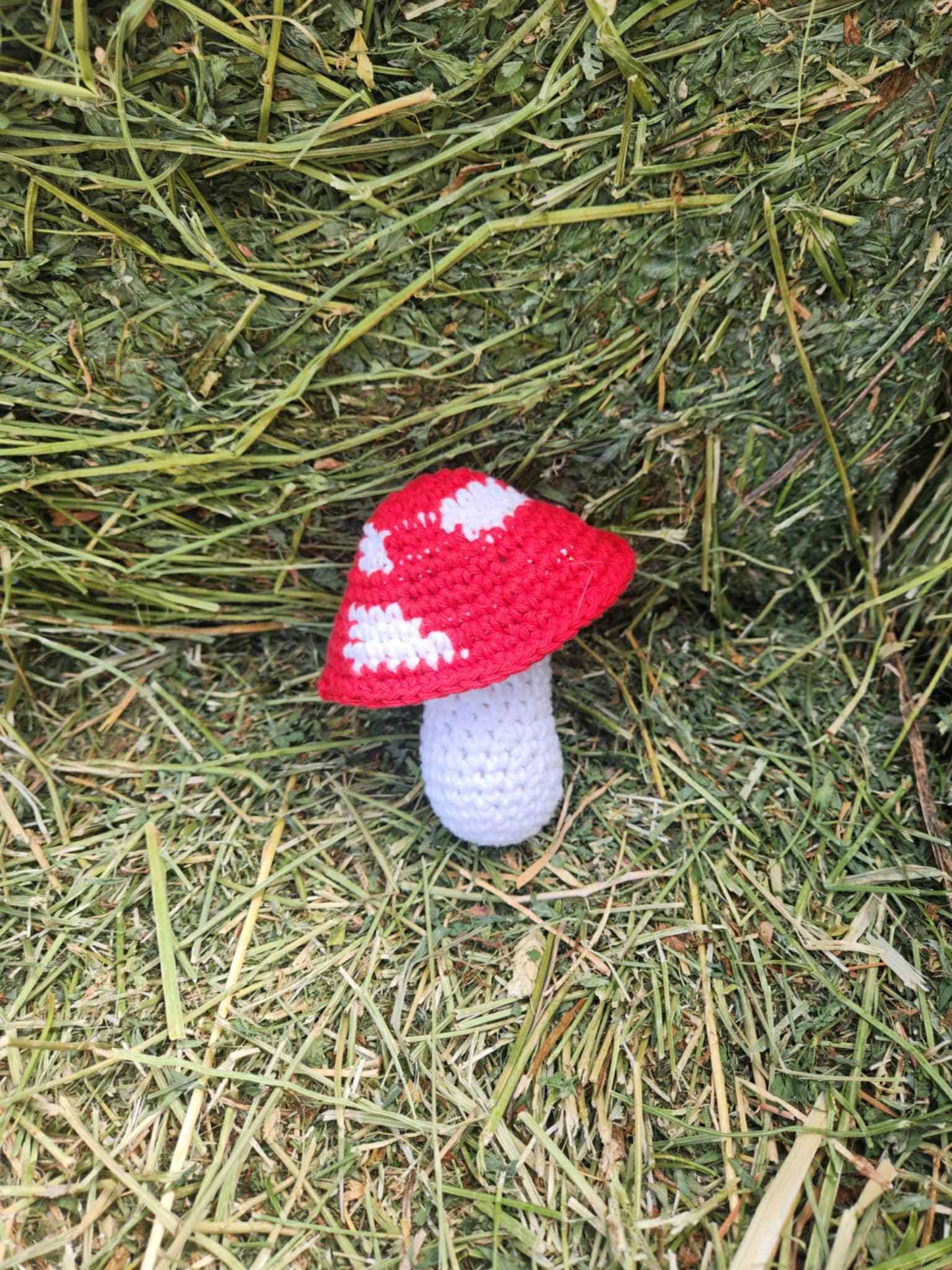 Crochet Mushroom Plushie – Amanita Style