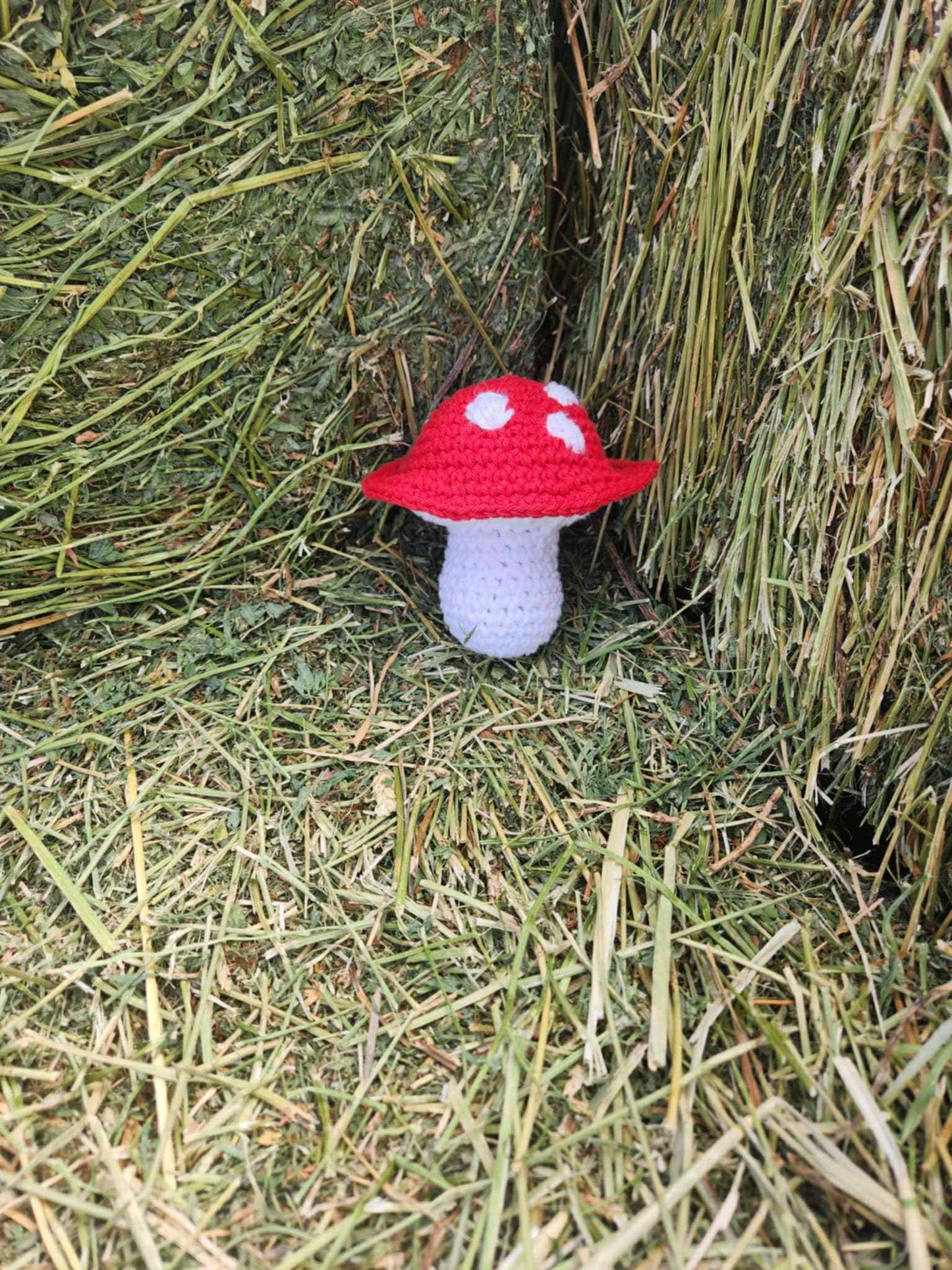 Crochet Mushroom Plushie – Amanita Style