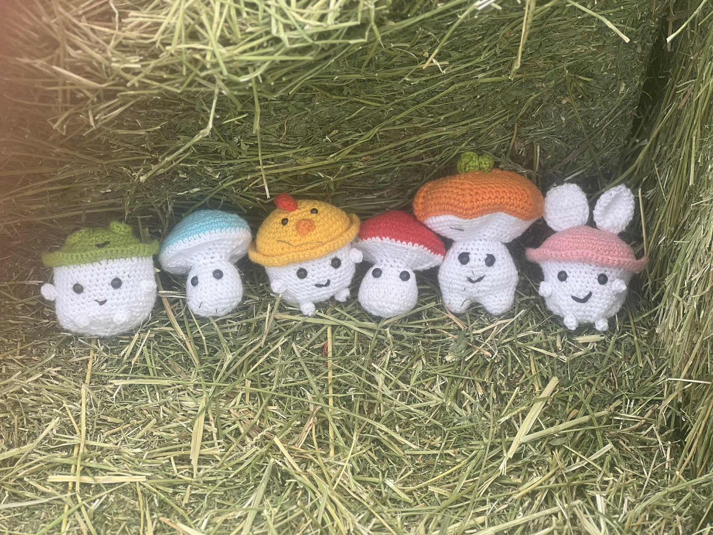 Mushroom Pals β Handmade Crochet Plushies