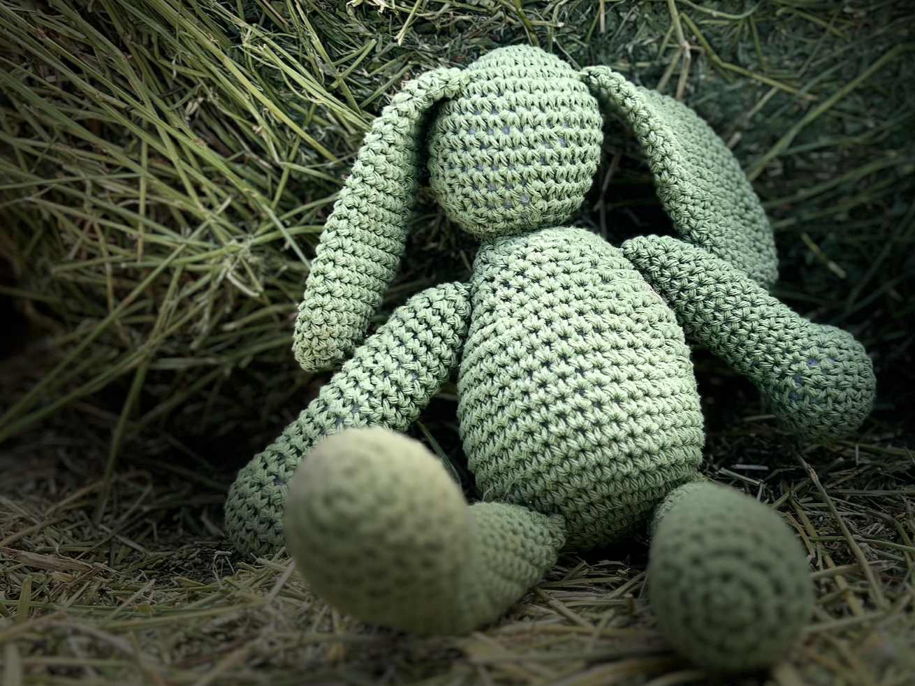 Hoppy Hues Hare