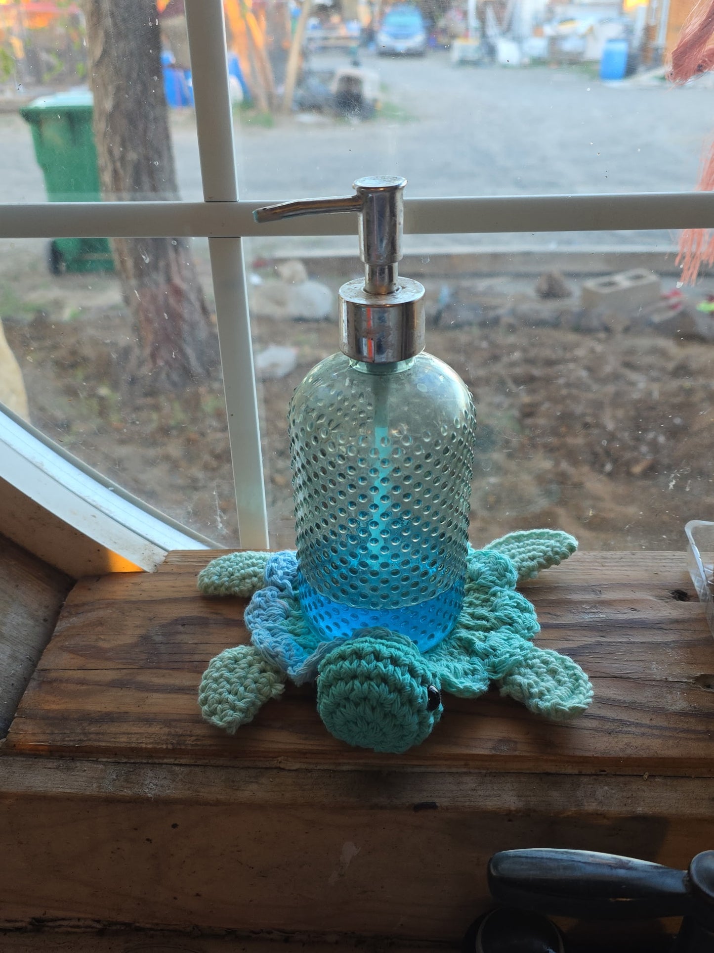 Turtle Coasters