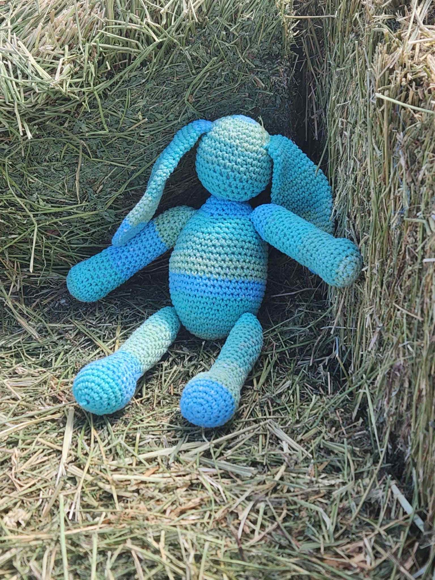 Hoppy Hues Hare