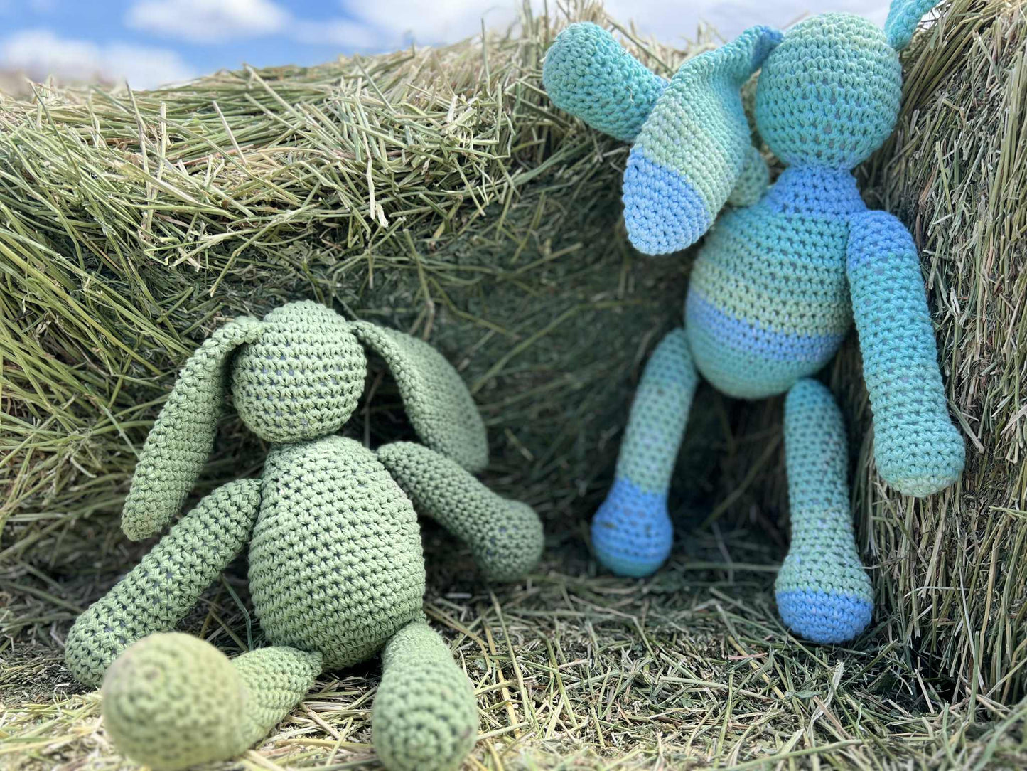 Hoppy Hues Hare