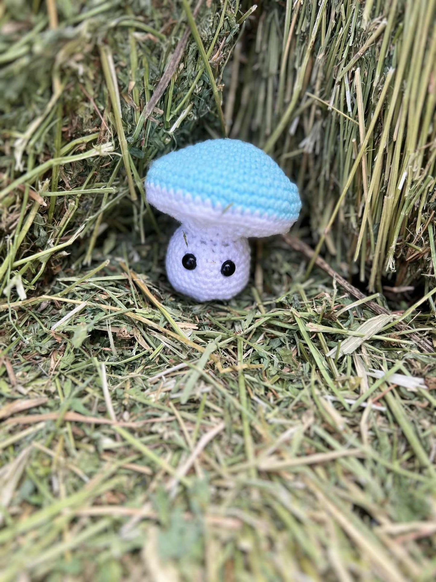 Mushroom Pals – Handmade Crochet Plushies