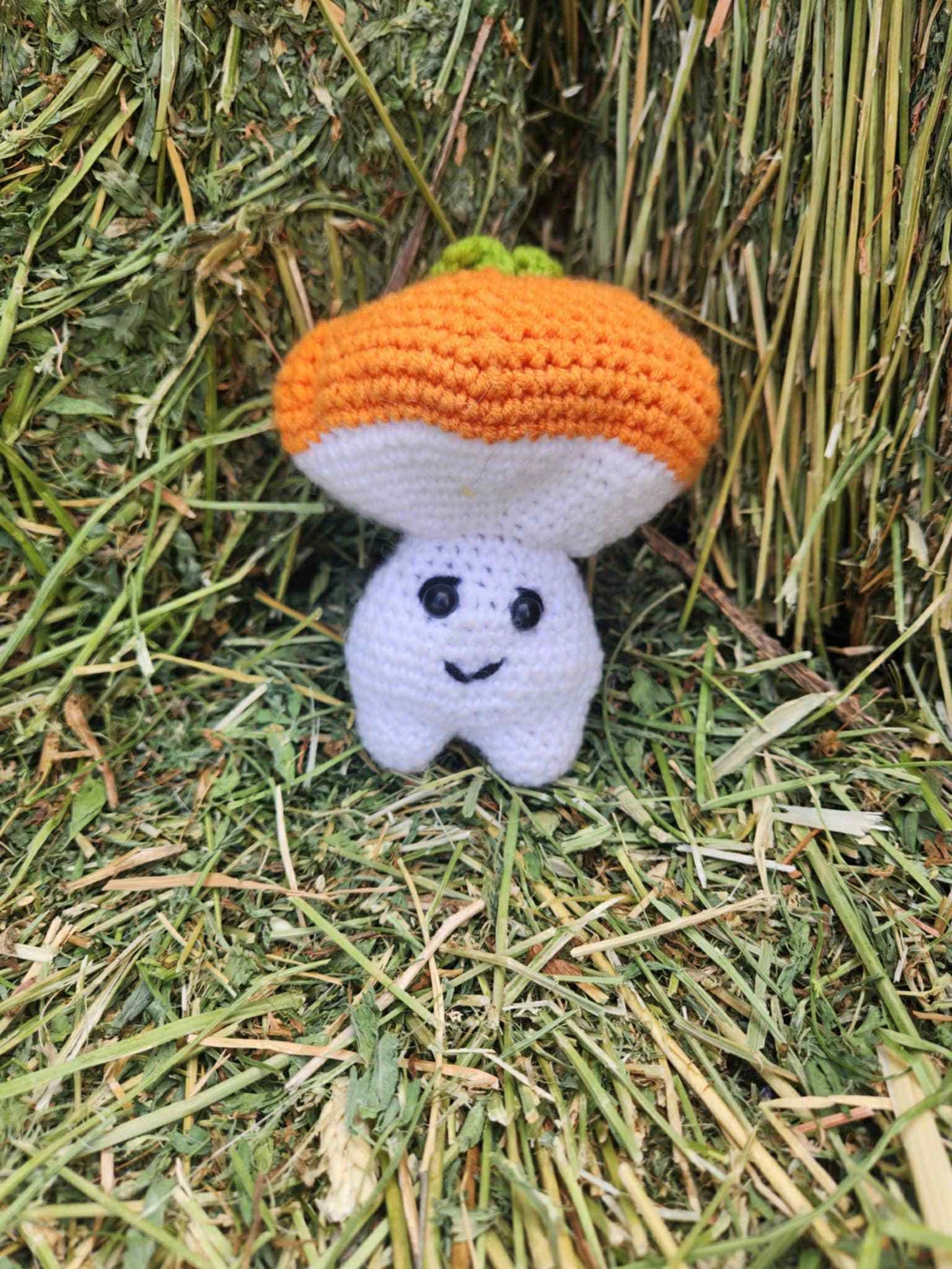 Mushroom Pals – Handmade Crochet Plushies