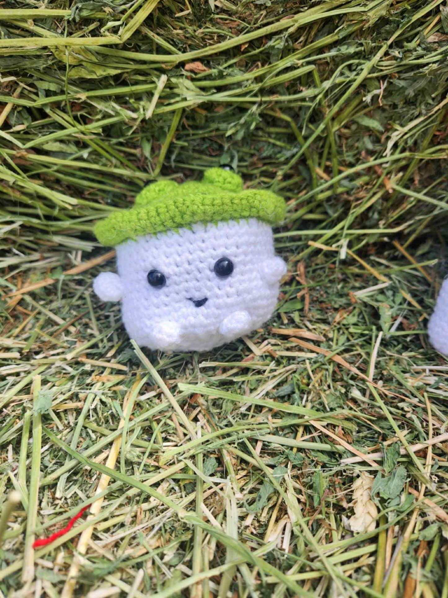 Mushroom Pals – Handmade Crochet Plushies