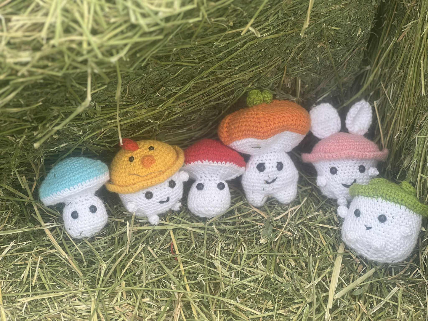 Mushroom Pals – Handmade Crochet Plushies