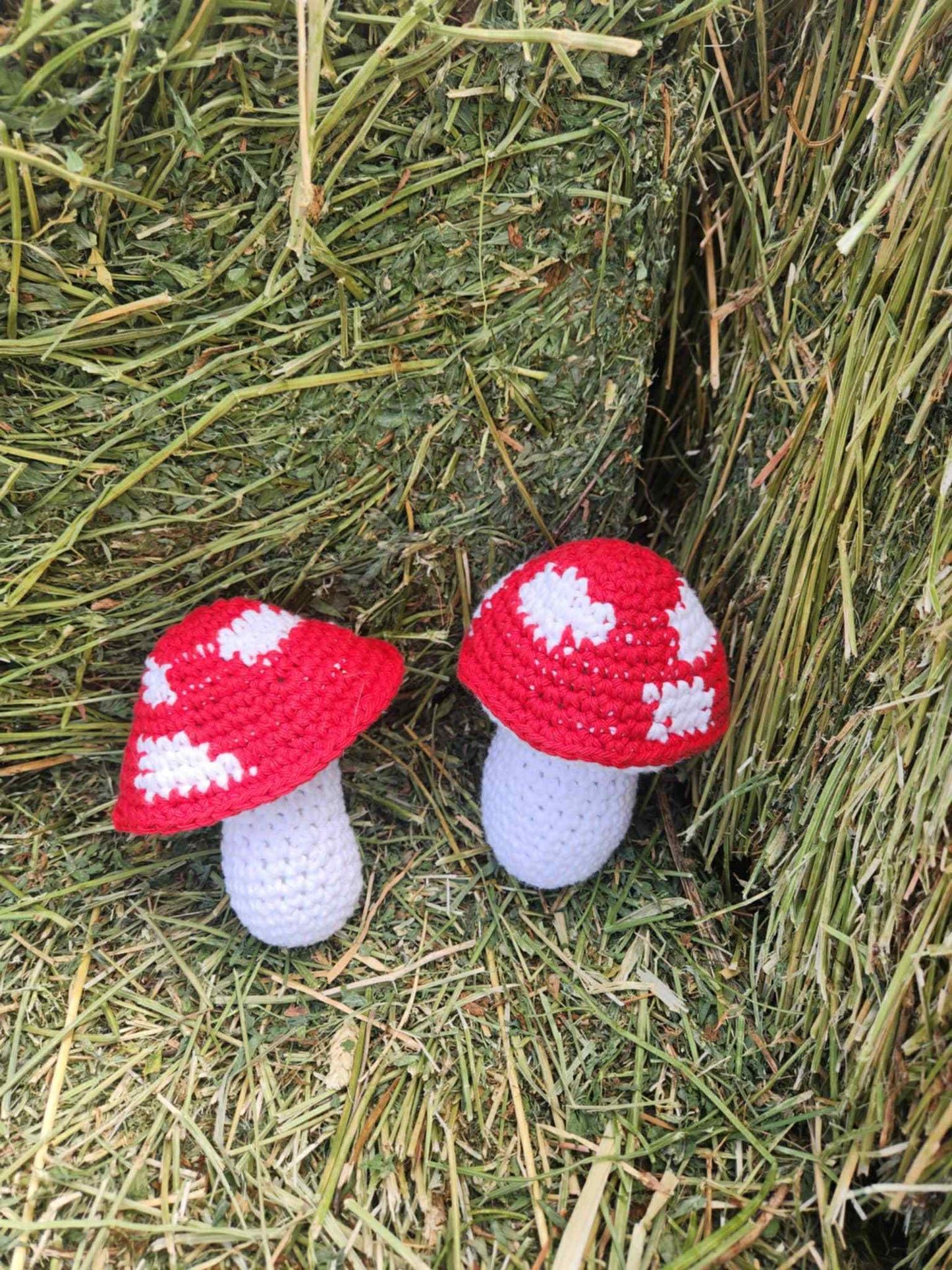 Crochet Mushroom Plushie – Amanita Style