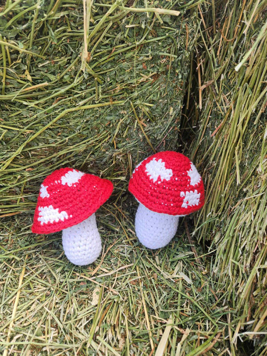 Crochet Mushroom Plushie – Amanita Style