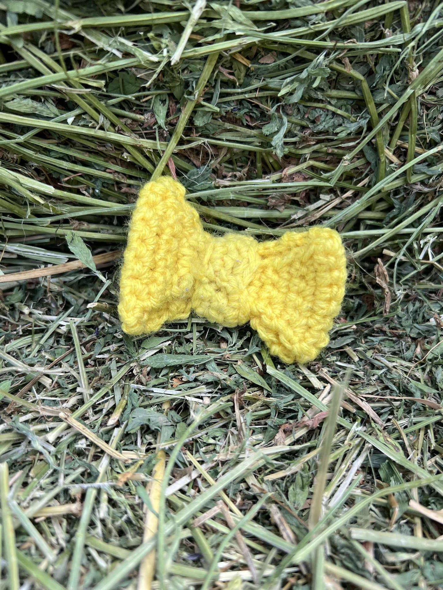 Bitty Bows
