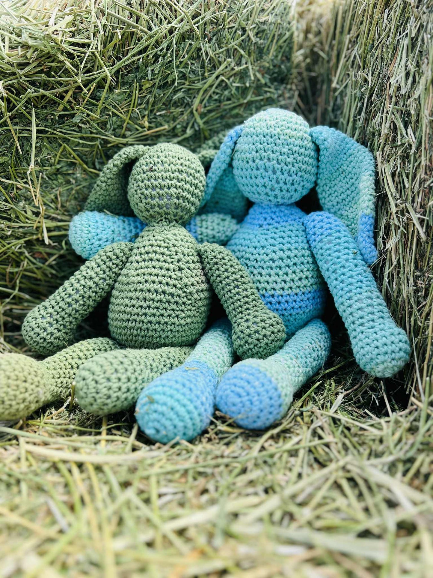 Hoppy Hues Hare