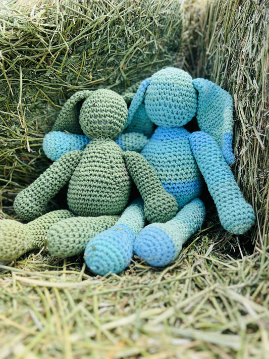 Hoppy Hues Hare