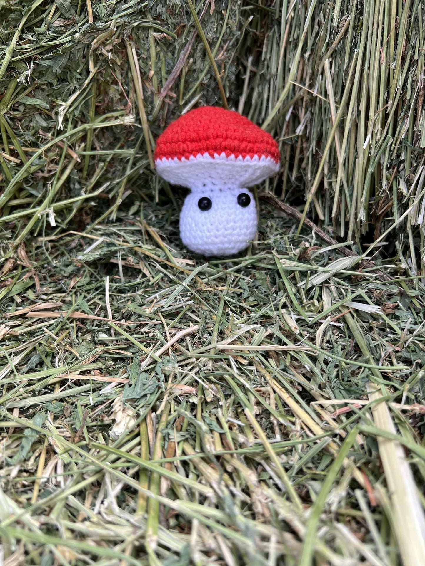 Mushroom Pals – Handmade Crochet Plushies